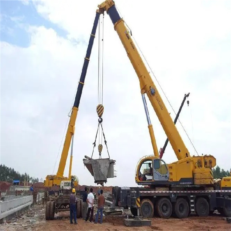 洪梅镇小型吊机出租电话|厂房设备吊装方案|24小时服务覆盖